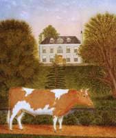 Guernsey Bull in front of Manoir de Pierre Percee