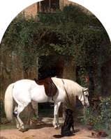 White Horse and Retriever