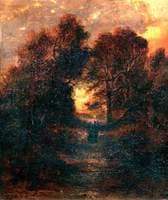 Whitlingham Woods near Norwich