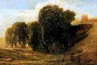 The Meadow
