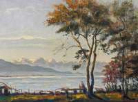 View from Schachen over Lake Constance on a Spring Day
