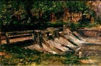 Woodland and Water