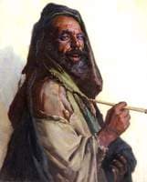 An Algerian
