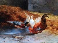 A Cockerel with Two Ducks
