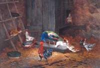 A Poultry Yard