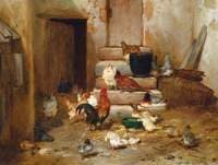 A Yard with Poultry and a Cock Pheasant