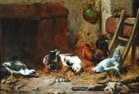 Ducks and Hens with a Dead Rat