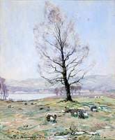 Landscape in Springtime