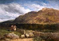 Counting the Flock