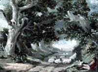 The Glade