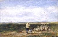 The Shepherd: Return of the Flock