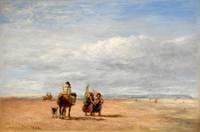 The Shrimpers