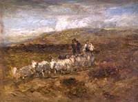 Welsh Shepherds