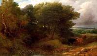 Rural Scene