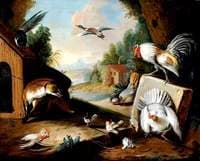 Baiting the Fox