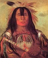 Buffalo Bull's Back Fat, Head Chief, Blood Tribe