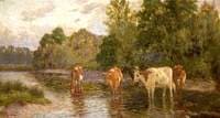 Cattle in a Shallow Stream