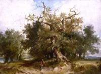 Wooded Landscape