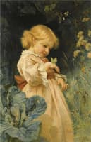 The Butterfly