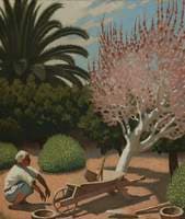 A Garden in Cyprus