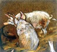 Study of Pigs