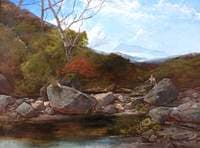A Trout Stream