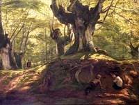 Burnham Beeches, Buckinghamshire