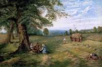 Hayfield