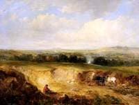 Surrey Sandhills