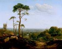 The Weald, Surrey