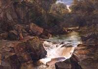 Woodland Stream