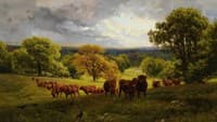 Landscape in Wiltshire