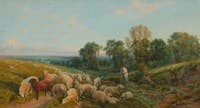 Noonday Rest