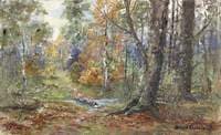 Woodland Scene