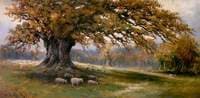 Autumn, Albury Park, Surrey