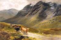 Highland Cattle