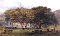 The Old Churchyard, Betws-y-Coed
