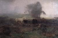 In a Fog