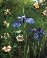 Wild Roses and Irises