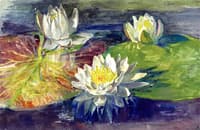 Water-Lilies, Red and Green Pads