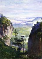 View in Ceylon, near Dambula, Looking over Rice Fields