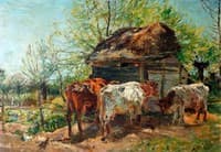 Cattle