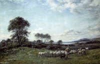 Collecting the Flock