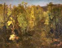 The Vineyard