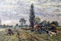 Essex Meadows