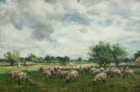Landscape with Sheep