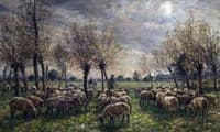 Sheep