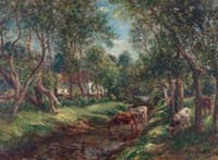 The Brook