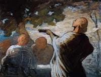 The Serenade