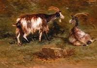 Two Goats